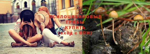 эйфоретик Богородицк