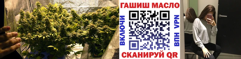 Дистиллят ТГК концентрат  Купить закладки  Сергач 